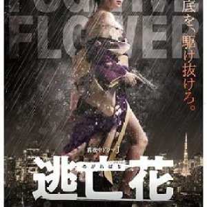 Fugitive Flower (2018)