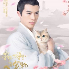 I’m a Pet at Dali Temple Chinese Drama photo