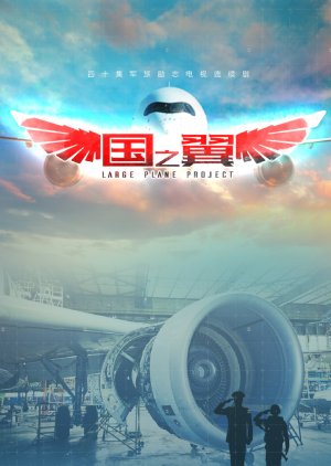 Large Plane Project () poster