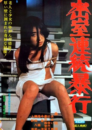 Serial Rape in Locked Rooms (1981) poster