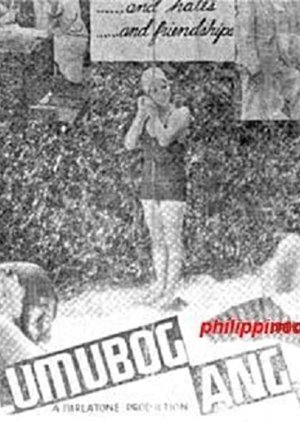 Bago lumubog ang araw () poster