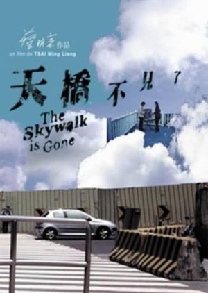 The Skywalk Is Gone (2002) poster