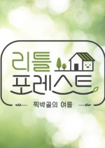Little Forest Korean TV Program photo