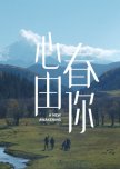 A New Awakening chinese drama review