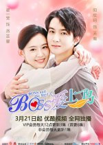 Boss and the Bird Chinese Drama photo