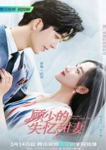 Master Gu’s Amnesia Sweet Wife Chinese Drama photo