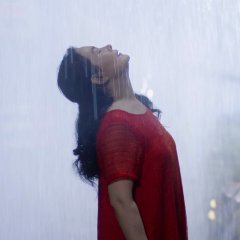 A Dog Barking At The Moon Chinese Movie photo