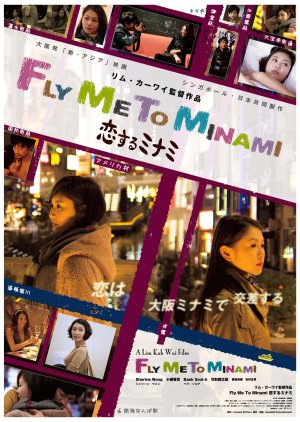 Fly Me to Minami (2013) poster