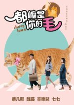 Fluffy Love Taiwanese Drama photo