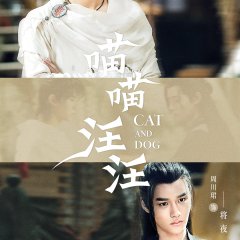 Cat and Dog Chinese Drama photo