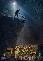 Dragon Password Chinese Movie photo