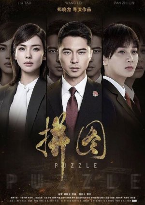 Puzzle () poster