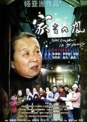 Nine Daughters in My Family (2006) poster