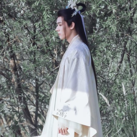 Fox Spirit Matchmaker: Yue Hong (2024)