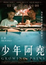 Growing Pains Taiwanese Movie(2021) photo