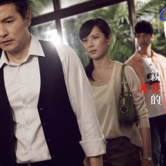 good wife drama china good wife drama china