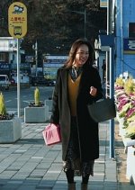 Jokyoki Korean Movie photo