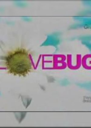 Love Bug (2010) poster
