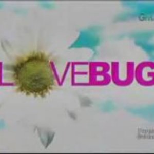 Love Bug (2010)