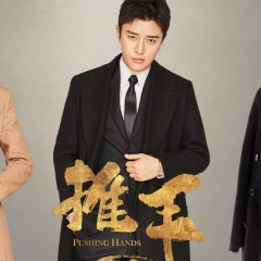 Pushing Hands Chinese Drama(2019) photo