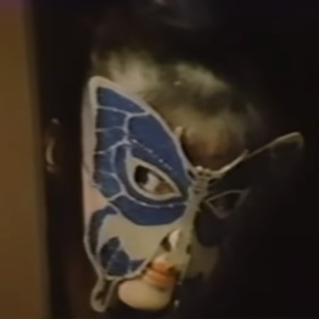 Blue Butterfly The Amazon (1984)