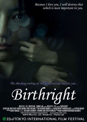 Birthright (2012) poster