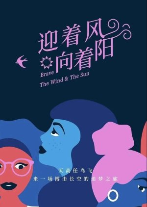Brave the Wind & the Sun () poster