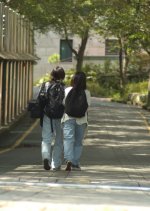 Special Scholarship Korean Movie photo