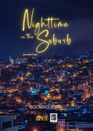 Nighttime in the Suburb () poster