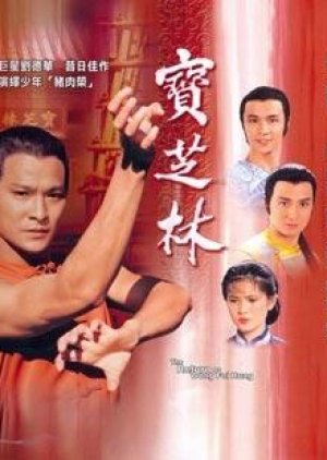 The Return of Wong Fei Hung (1984) poster