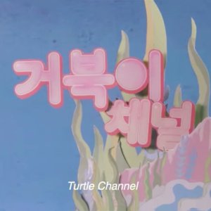 Turtle Channel (2020)