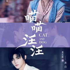 Cat and Dog Chinese Drama photo