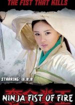 The Fist That Kills Taiwanese Movie photo