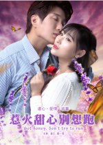 Honey, I Demand Your Love Chinese Movie photo