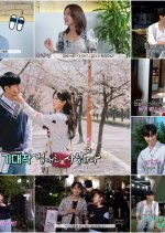 The Law Cafe Special Korean Drama(2022) photo