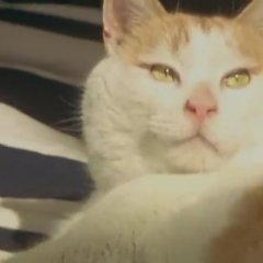 Samurai Kids Japanese Movie photo