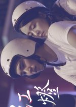 Traffic Light Taiwanese Movie(2016) photo