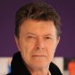 David Bowie