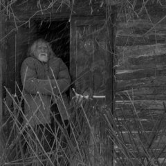 Seven Days Chinese Movie(2016) photo