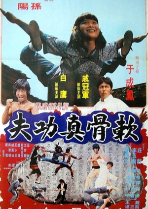 Yoga and the Kung Fu Girl (1979) poster