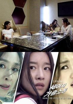 Drama Special Season 5: The Three Female Runaways (2014) poster