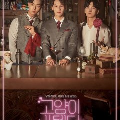 Cat's Bar Korean Drama photo