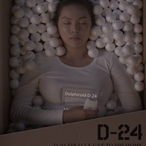 D-24 (2013)