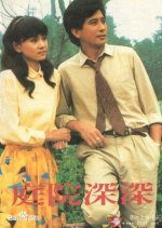 Deep Garden Taiwanese Drama photo