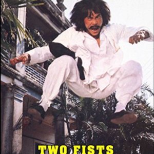 Two Fists against the Law (1980)