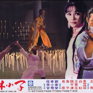 Young Hero of Shaolin (1976)