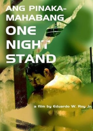 Ang pinakamahabang one night stand (2006) poster