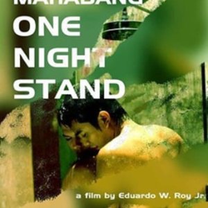 Ang pinakamahabang one night stand (2006)
