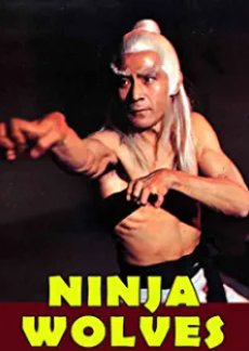 Ninja Wolves (1979) poster