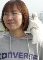 Us, Day by Day Korean Movie photo